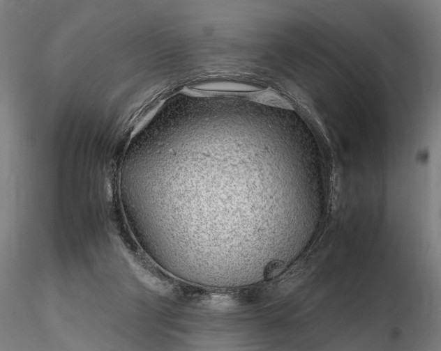 X0000116350114200912151401