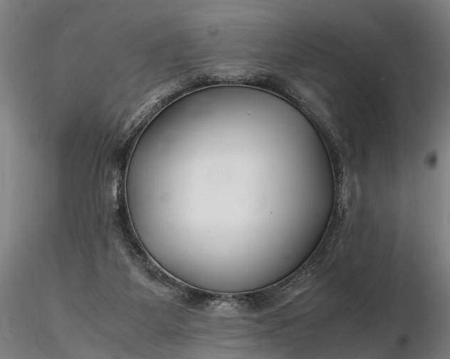 X0000116350115200912151401