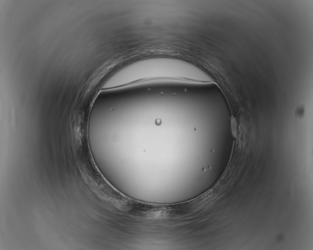 X0000116350116200912151401