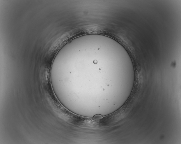 X0000116350117200912151401