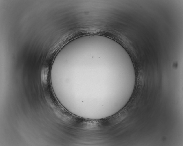 X0000116350118200912151401