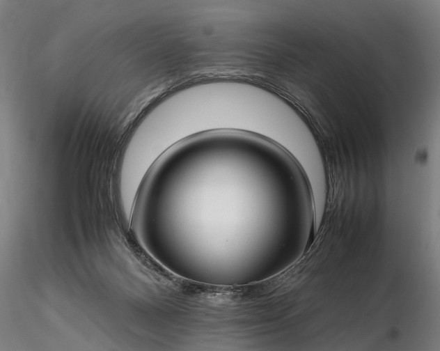 X0000116350120200912151401