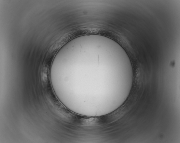 X0000116350122200912151401