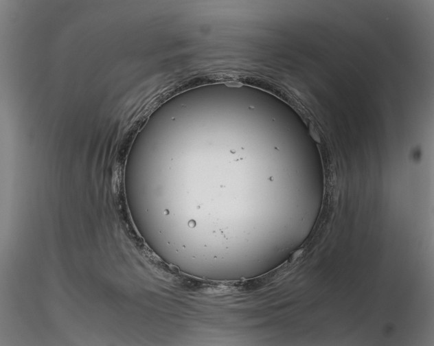 X0000116350125200912151401