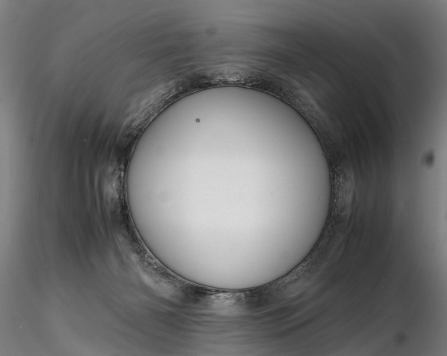 X0000116350126200912151401