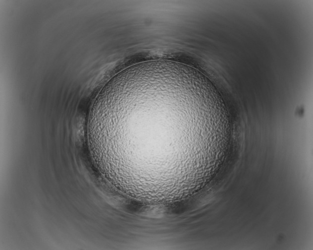 X0000116350127200912151401