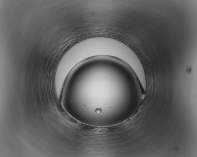 X0000116350128200912151400