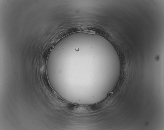 X0000116350129200912151400