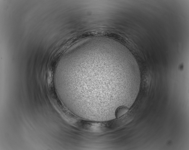 X0000116350130200912151400