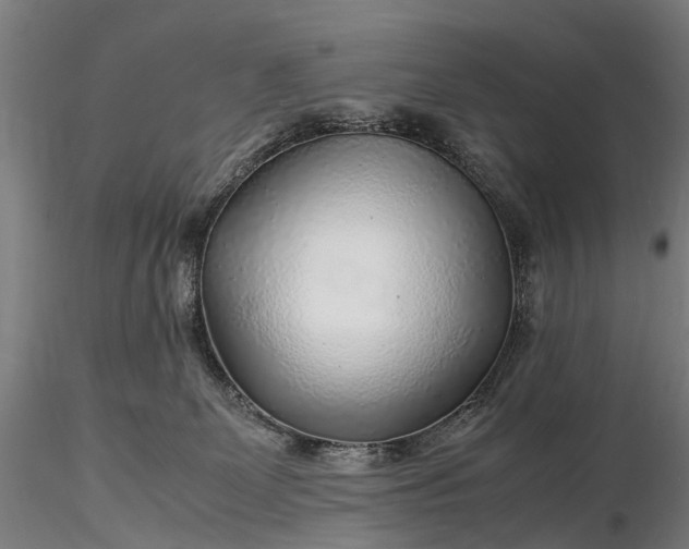 X0000116350131200912151400