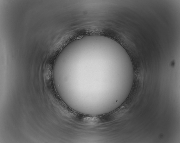 X0000116350133200912151400