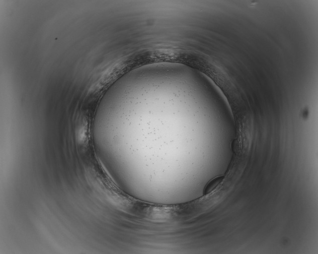 X0000116350134200912151400