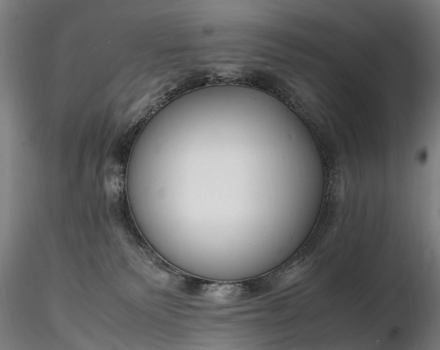 X0000116350135200912151400