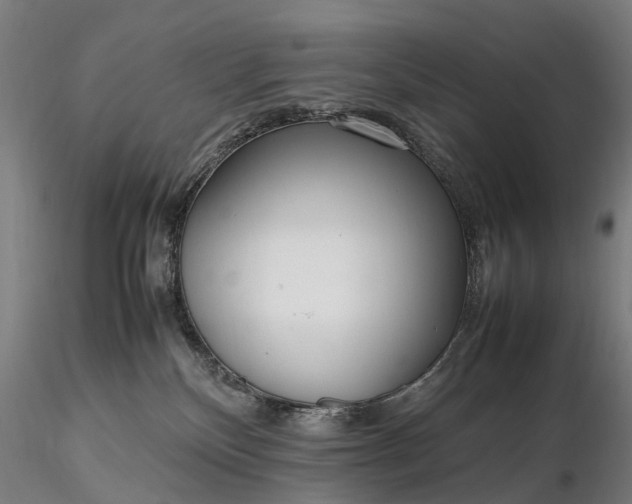 X0000116350136200912151400