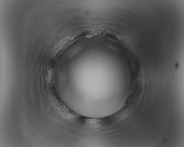 X0000116350139200912151400