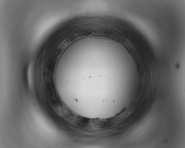 X0000116350140200912151400