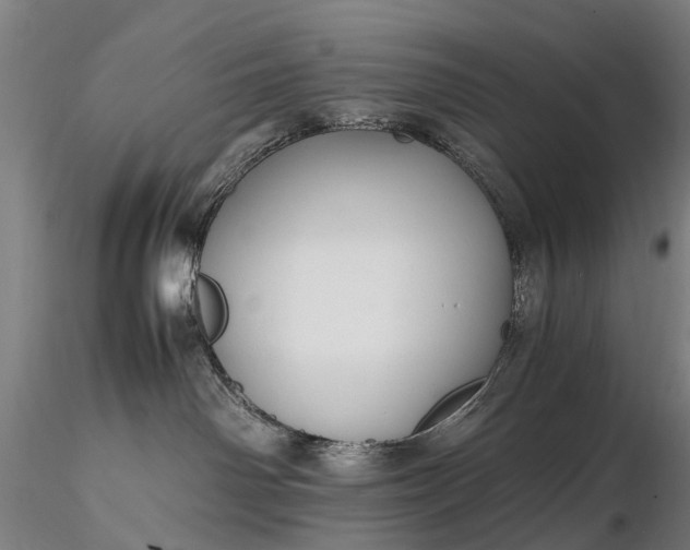 X0000116350142200912151400