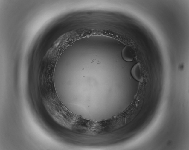 X0000116350143200912151400