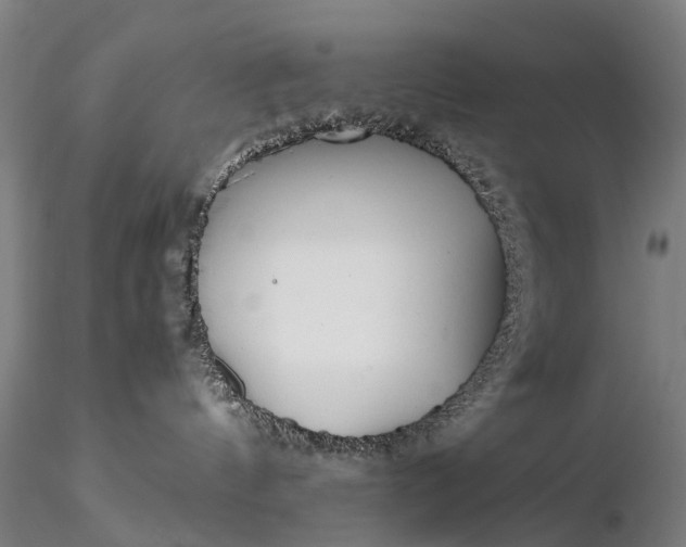 X0000116350144200912151400