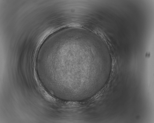 X0000116350145200912151400