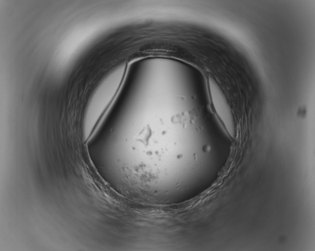 X0000116350146200912151400