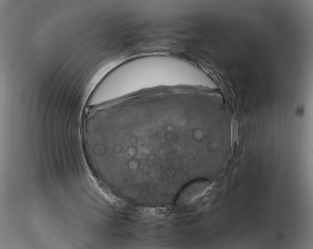 X0000116350147200912151400