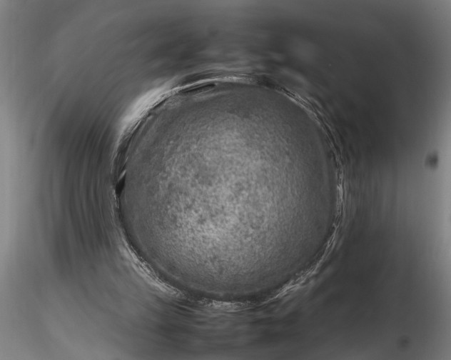 X0000116350149200912151400