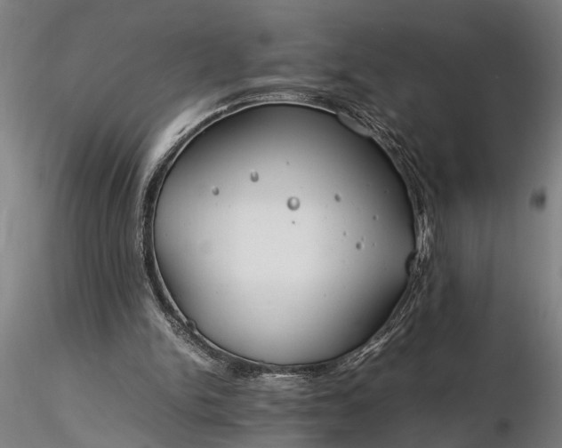 X0000116350150200912151400