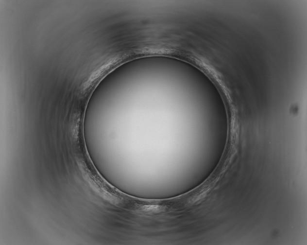 X0000116350153200912151400