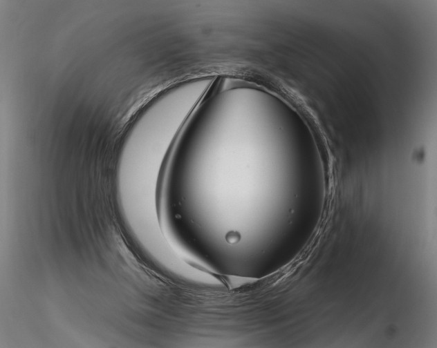 X0000116350154200912151400