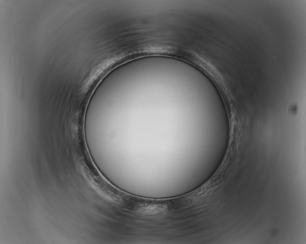 X0000116350155200912151400