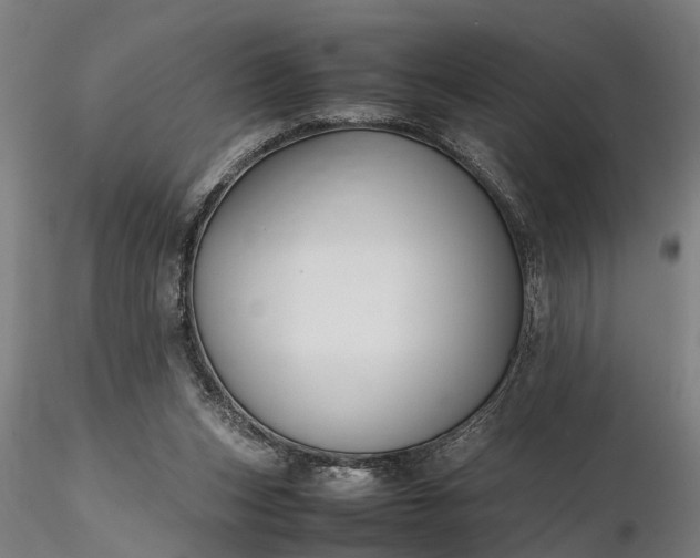 X0000116350159200912151400