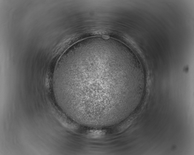 X0000116350161200912151400