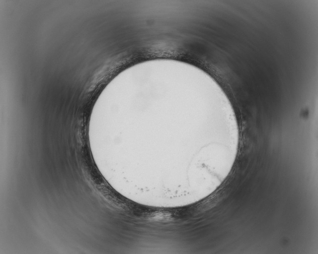 X0000116350162200912151400