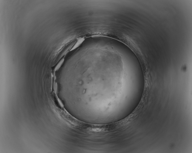 X0000116350163200912151400