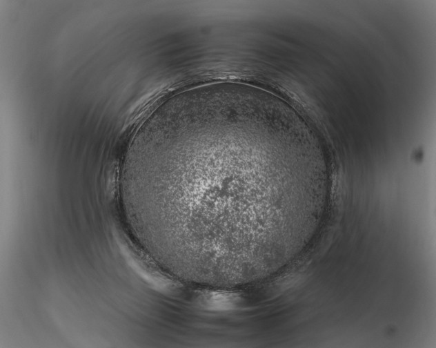 X0000116350165200912151400