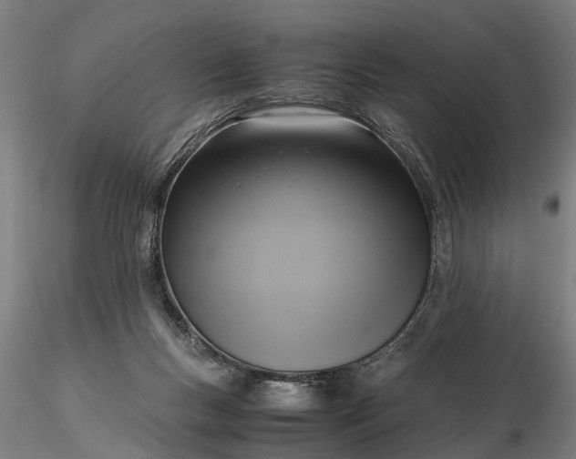 X0000116350167200912151400