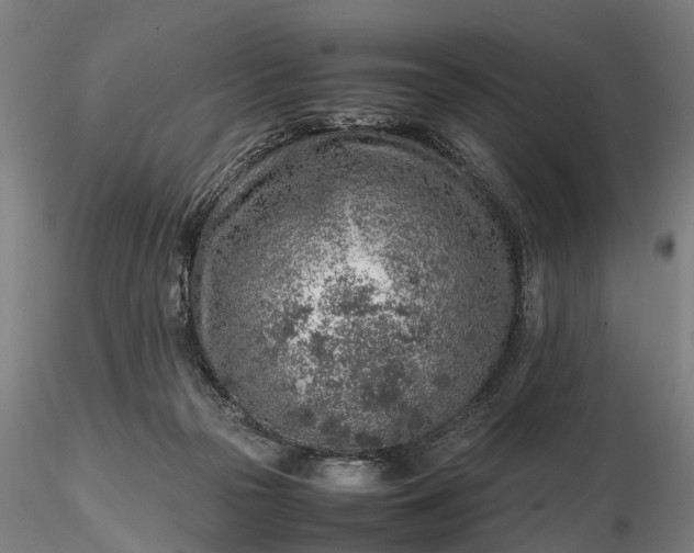 X0000116350169200912151400