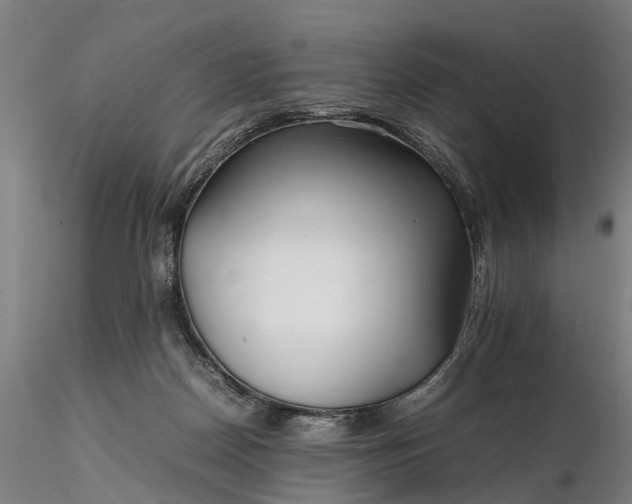 X0000116350170200912151400