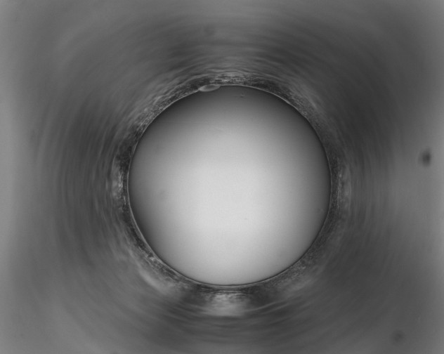 X0000116350173200912151400