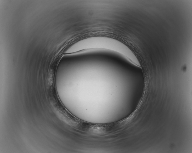 X0000116350174200912151400