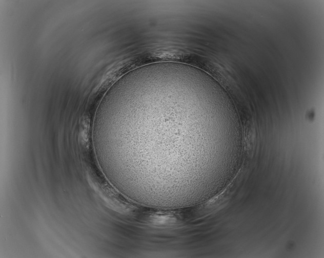 X0000116350175200912151400