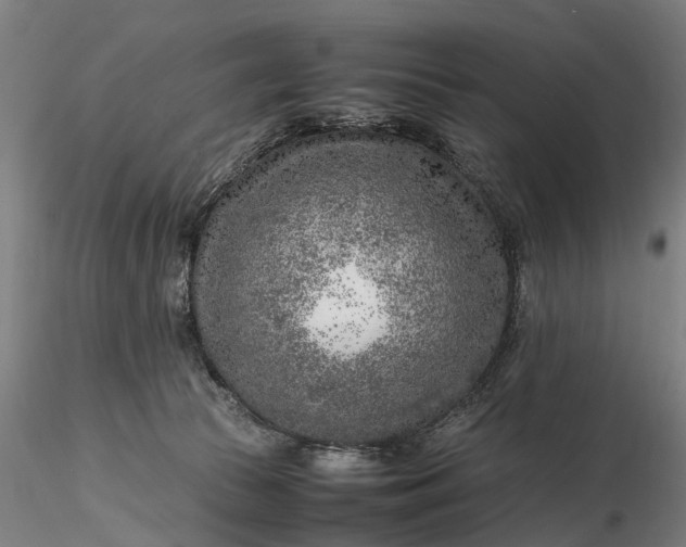 X0000116350177200912151400