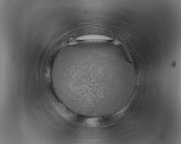 X0000116350178200912151400