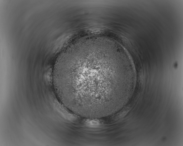 X0000116350181200912151400