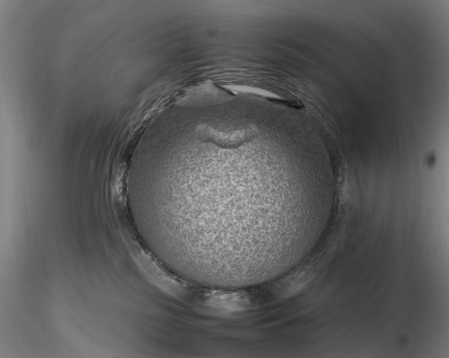 X0000116350185200912151400