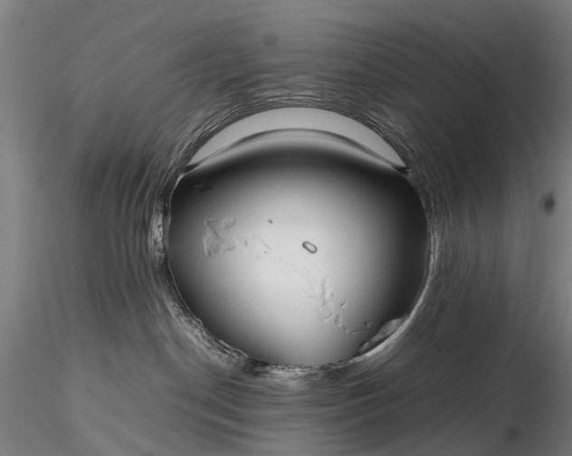 X0000116350190200912151400