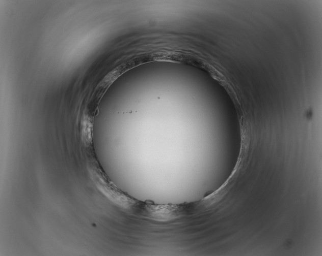 X0000116350191200912151400