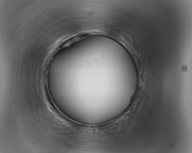 X0000116350193200912151400