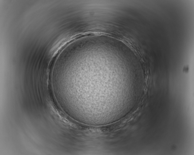 X0000116350194200912151359